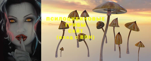 ешки Армянск