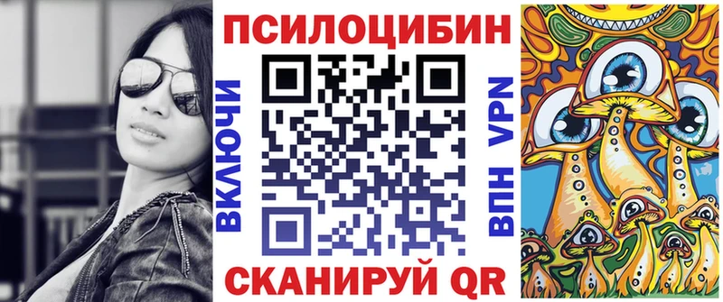 Галлюциногенные грибы Psilocybe  дарк нет официальный сайт  Вилючинск 